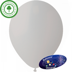 26cm Grey Balloon