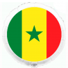 45cm balloon Flag of Senegal
