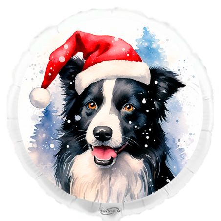 Balão de 45cm Border Collie de Natal