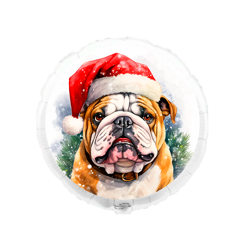 Balão de 45cm Buldogue de Natal