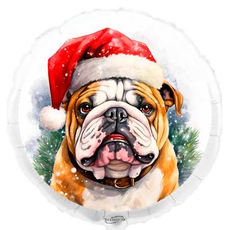Balão de 45cm Buldogue de Natal