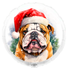 Balão de 45cm Buldogue de Natal