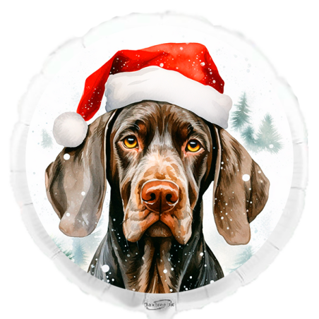 Balão de 45cm Pointer de Natal