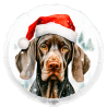Balão de 45cm Pointer de Natal