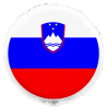 45cm Slovenia Flag Balloon
