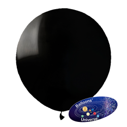 48cm Black Balloon