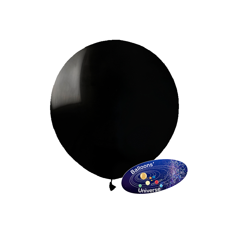 48cm Black Balloon