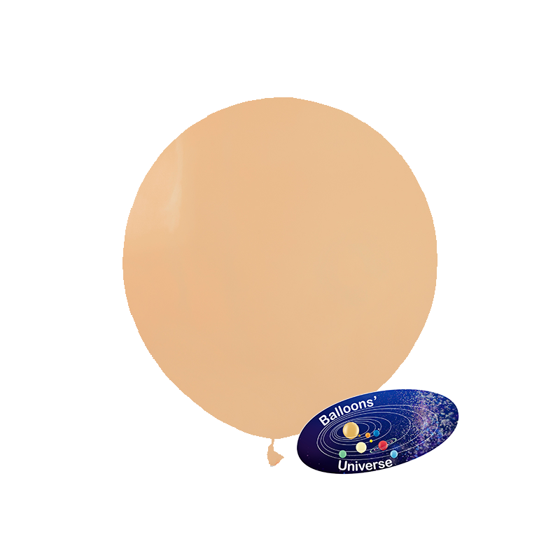 48cm Blush Balloon