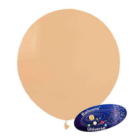 48cm Blush Balloon