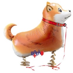 balão cão SHIBA-INU