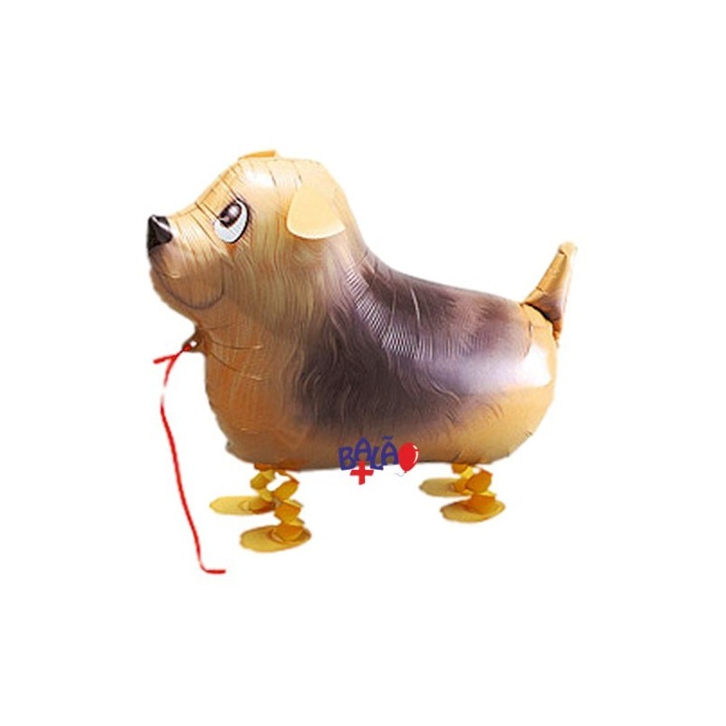 Walking balloon Pointer